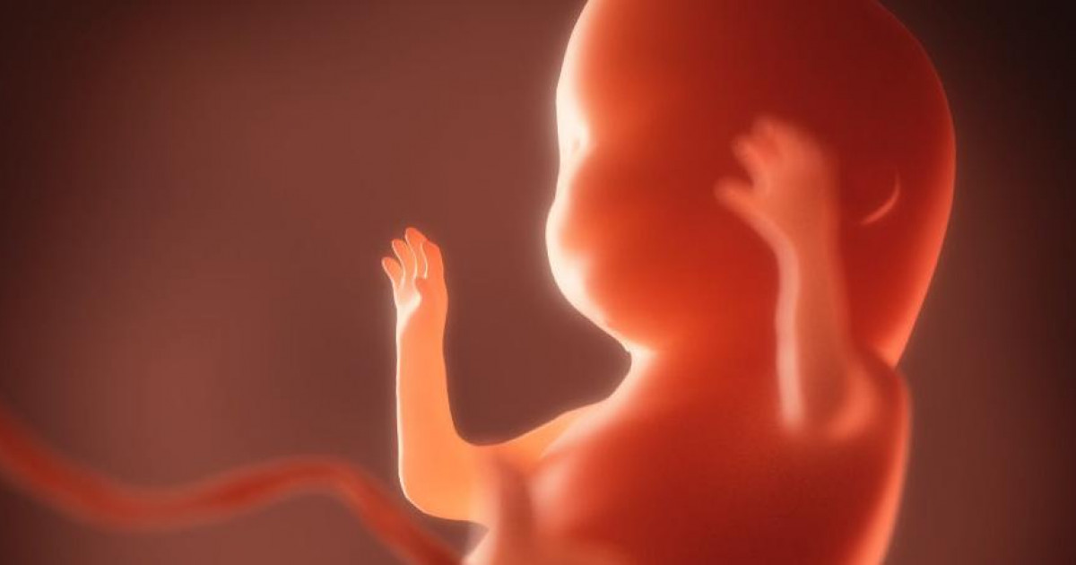 Síndrome de alcoholismo fetal SAF síntomas y tratamiento