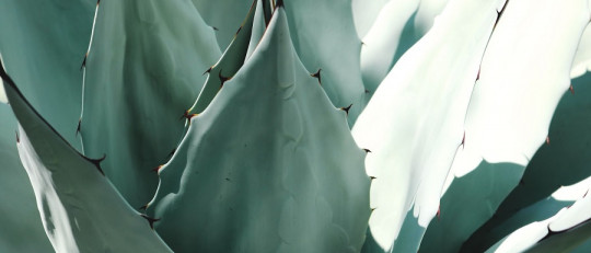 Elisabet Rodríguez Psicología y Psicopedagogía: sus servicios y su equipo