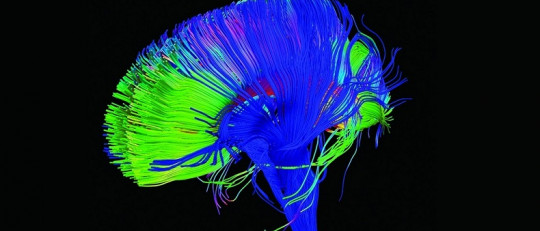 Las bases genéticas y biológicas de la psicopatía