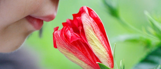 El inconsciente y los olores