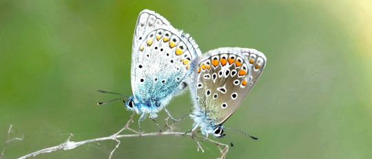 Características de los seres vivos