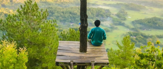 Jerarquía de valores