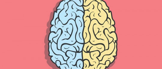 Qué pasa cuando se lesiona el hemisferio izquierdo del cerebro