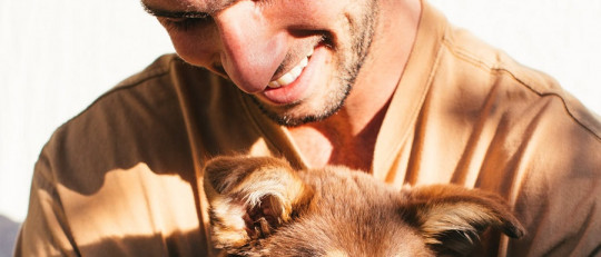 Frases de integridad