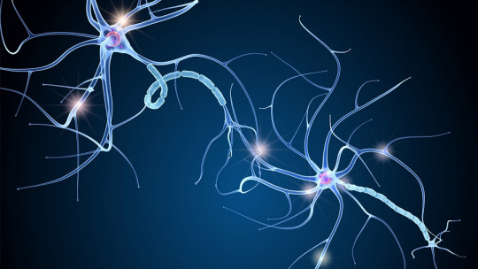 Neuronas espejo: el sustrato biológico de nuestra empatía