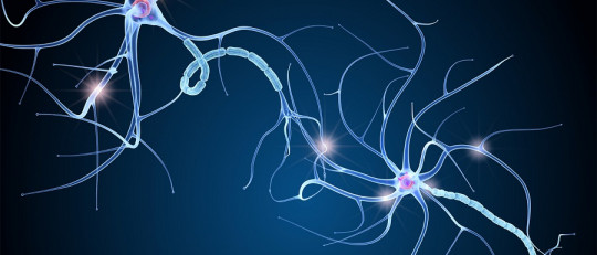 Neuronas espejo: el sustrato biológico de nuestra empatía