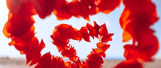 Las diferencias entre lujuria y amor