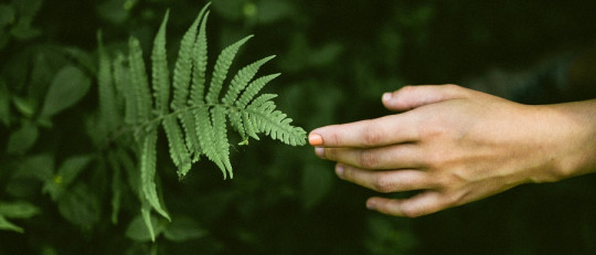 Frases de sensibilidad