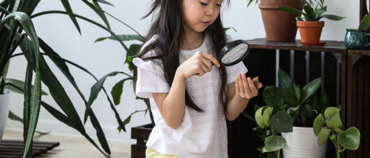 Frases de comprensión