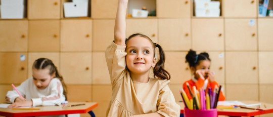 Vinculación emocional consciente