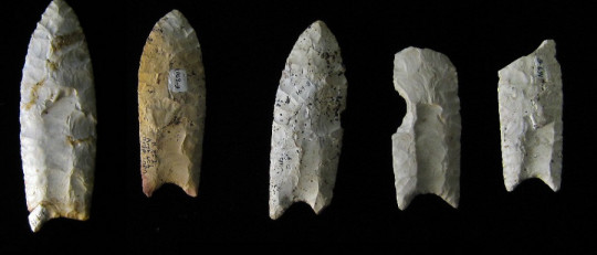 Primeros pobladores de América