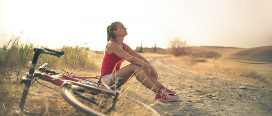 Los pilares del bienestar