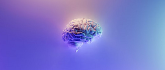 Cuáles son las partes del cerebro asociadas al sueño