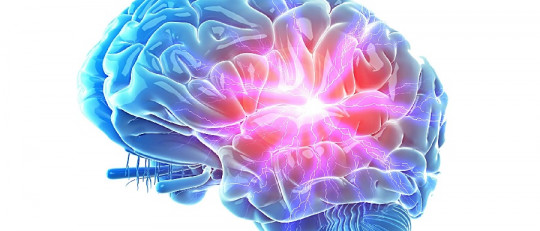 La psicoterapia influye en el cerebro humano