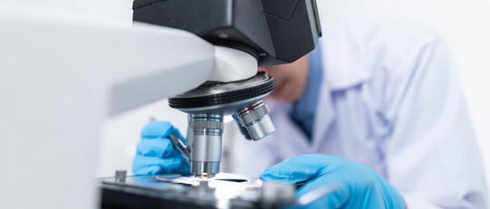 Tipos de microscopio