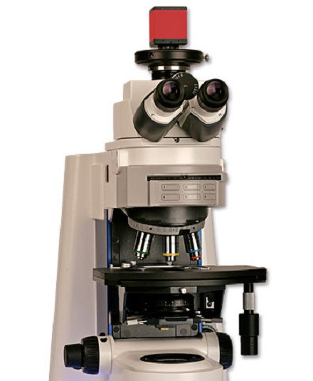 Microscopio de luz ultravioleta