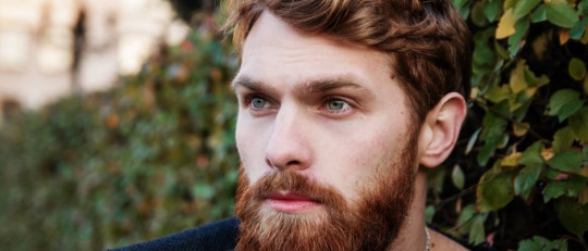 Hombre joven pelirrojo con barba.