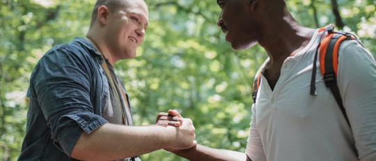 Instintos coalicionales