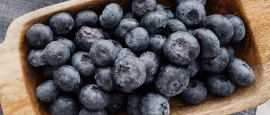 Beneficios del arándano