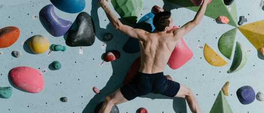 Proceso motivacional