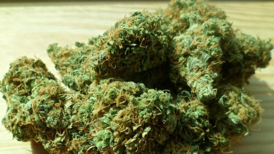 Principales características del cannabis sintético