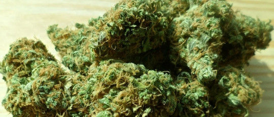 Principales características del cannabis sintético