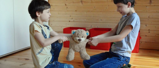 Rivalidad entre hermanos