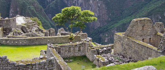 Palabras y expresiones peruanas