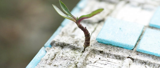 Cómo ser fuerte emocionalmente