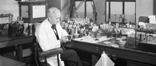 Ejemplos de descubrimientos por serendipia