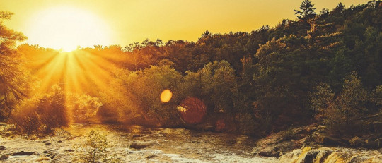 Las mejores frases sobre el Sol