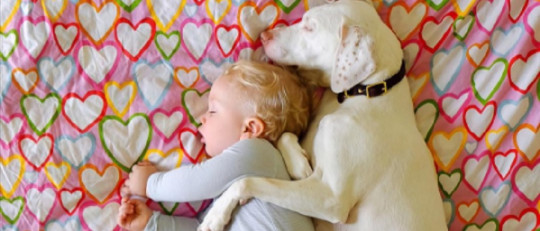 Archie y la perra Nora.