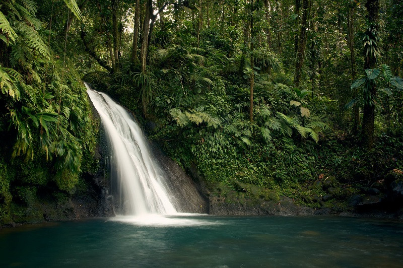 Leyenda colombiana de la madre del agua