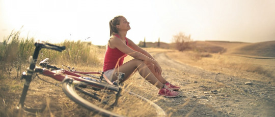 Conexiones conscientes