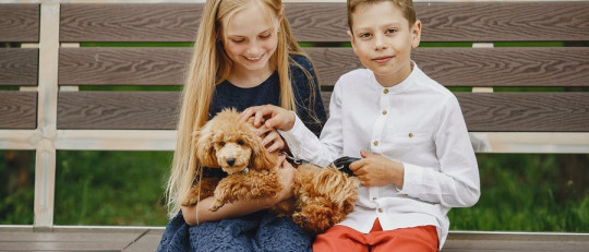 Las mejores frases de amor por los animales