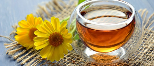 Infusiones para el resfriado