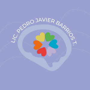 Pedro Javier Barrios Torres