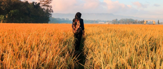 Los 9 factores necesarios para que tu proceso de cambio funcione al 100%