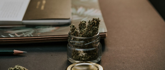 Efectos negativos de la marihuana en el cerebro