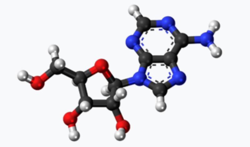Molécula de adenosina