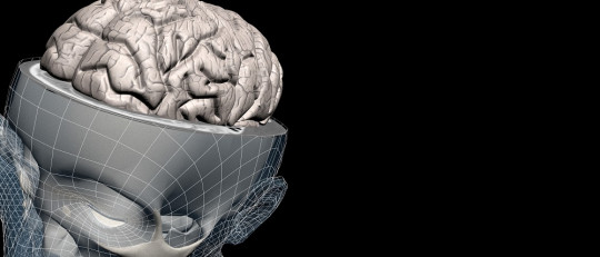 Cerebro en tras dimensiones.