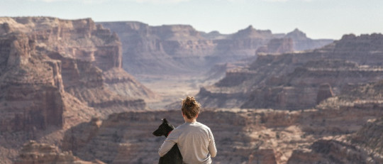 palabras positivas mujer y perro