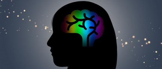 Las Teorías Dualistas de la Consciencia