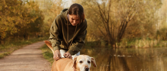 Mejora tu calidad de vida a través de la regulación emocional