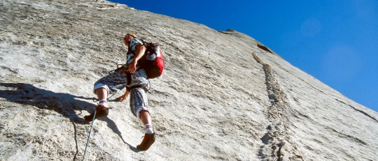 Instinto de supervivencia