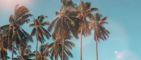 5 buenos hábitos para el verano