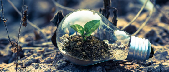 Las 110 mejores frases de desarrollo personal