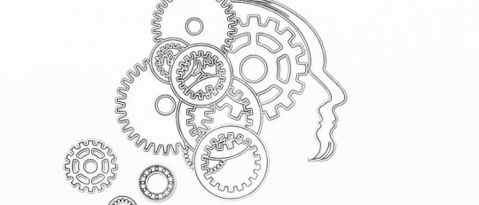 Sesgos cognitivos: descubriendo un interesante efecto psicológico