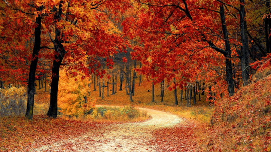 El otoño: lo que ha de finalizar para un nuevo comienzo