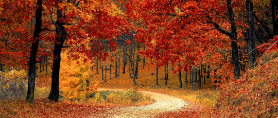 El otoño: lo que ha de finalizar para un nuevo comienzo